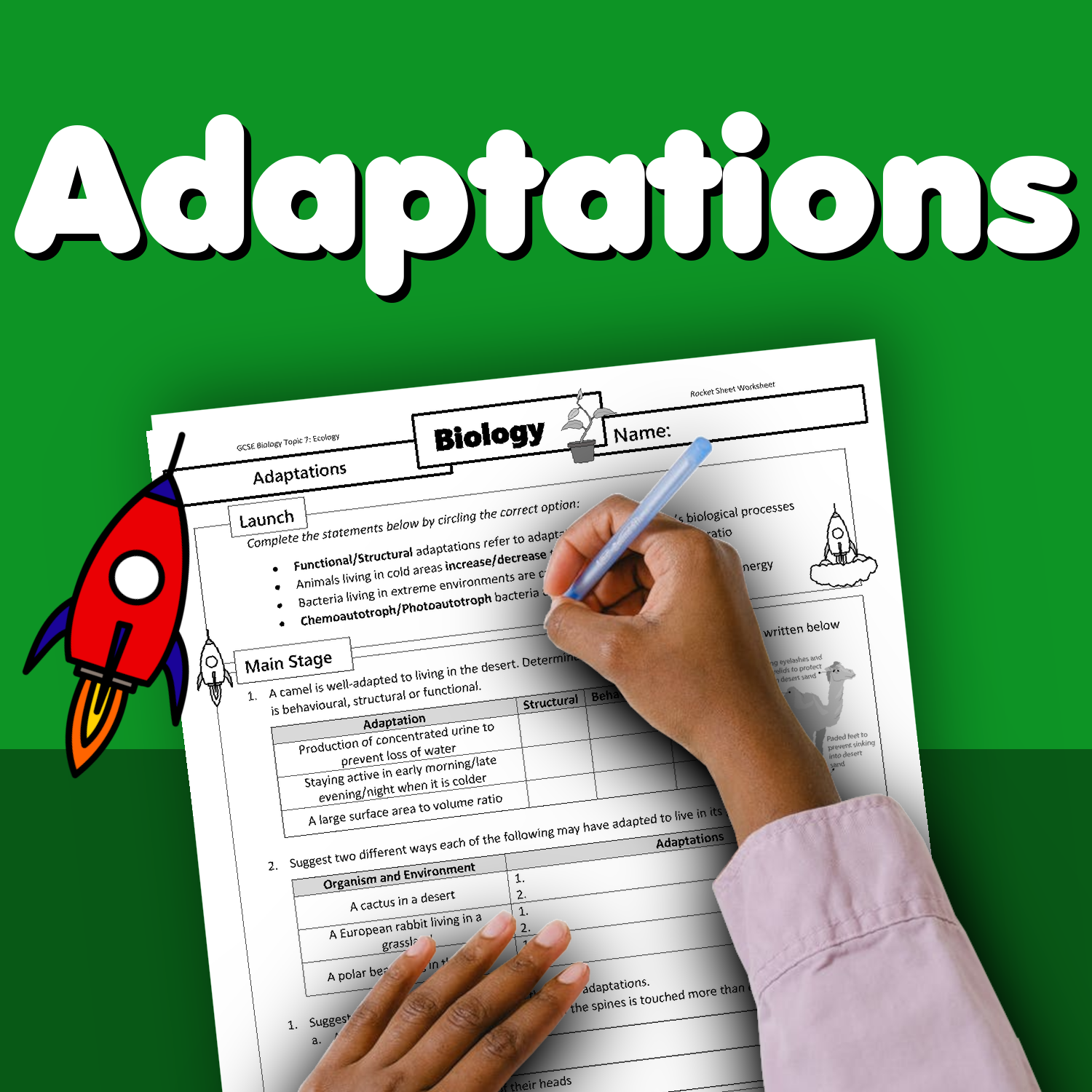 primary homework help adaptation