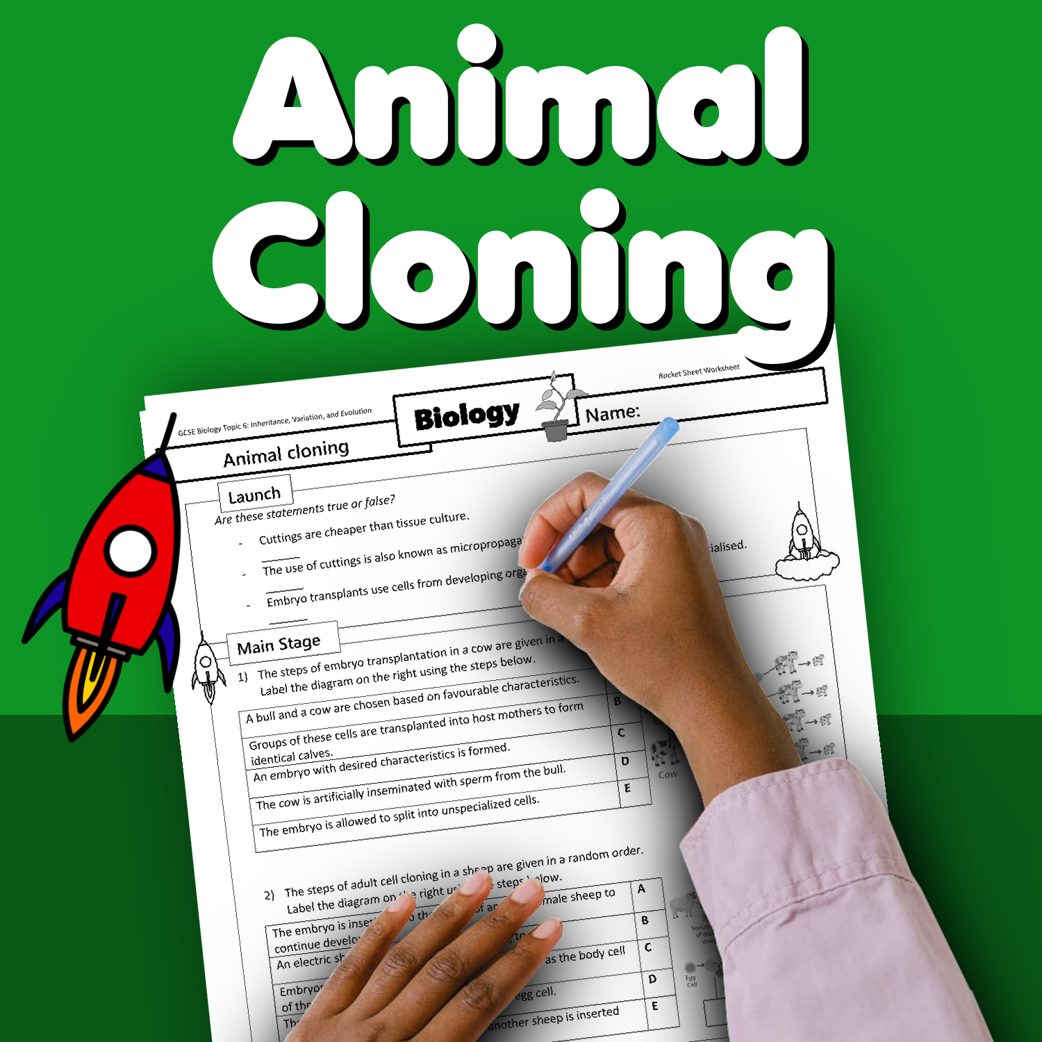 Animal Cloning Home Learning Worksheet GCSE 