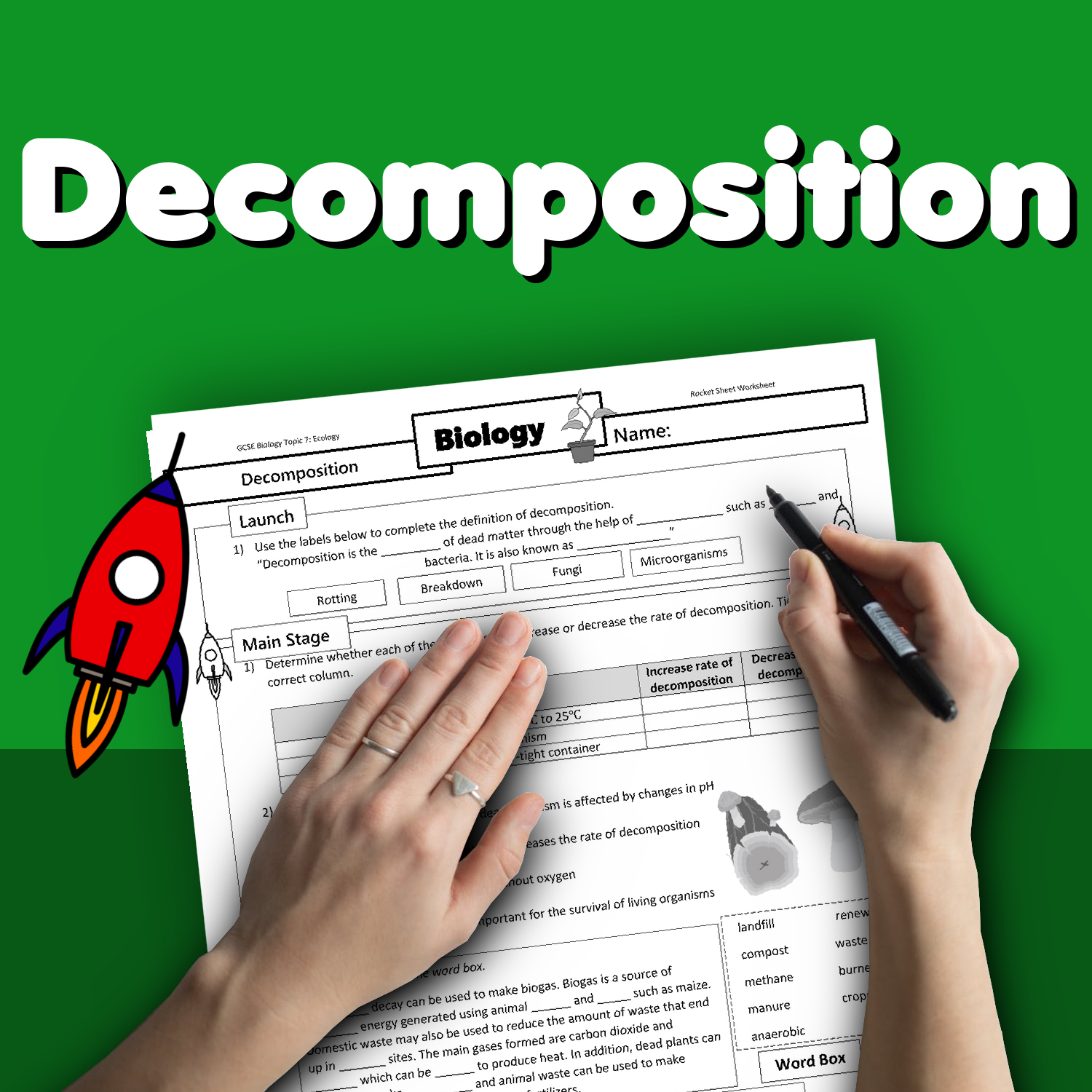 decomposition-home-learning-worksheet-gcse-rocketsheets-co-uk