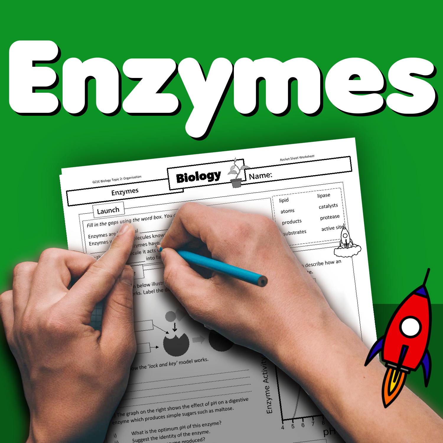 mb homework 3 worksheet about enzymes