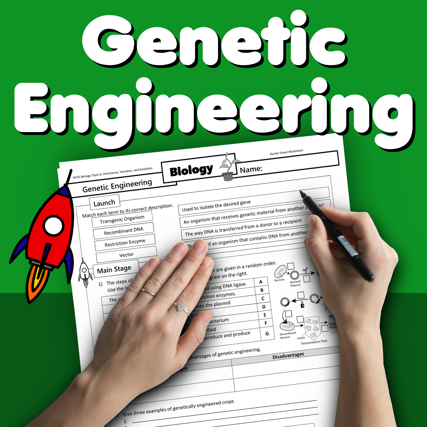 genetic engineering assignment