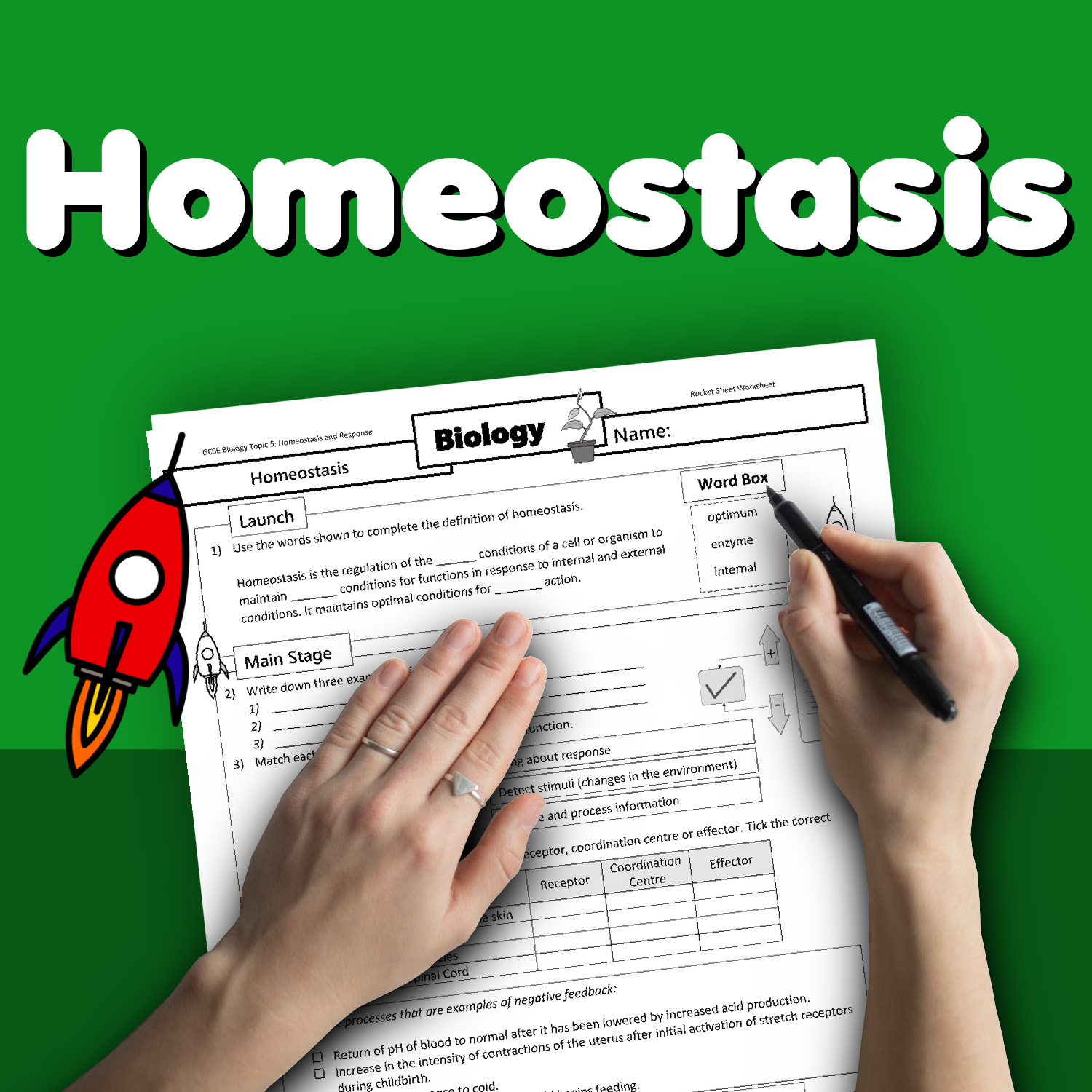 homeostasis-home-learning-worksheet-gcse-rocketsheets-co-uk