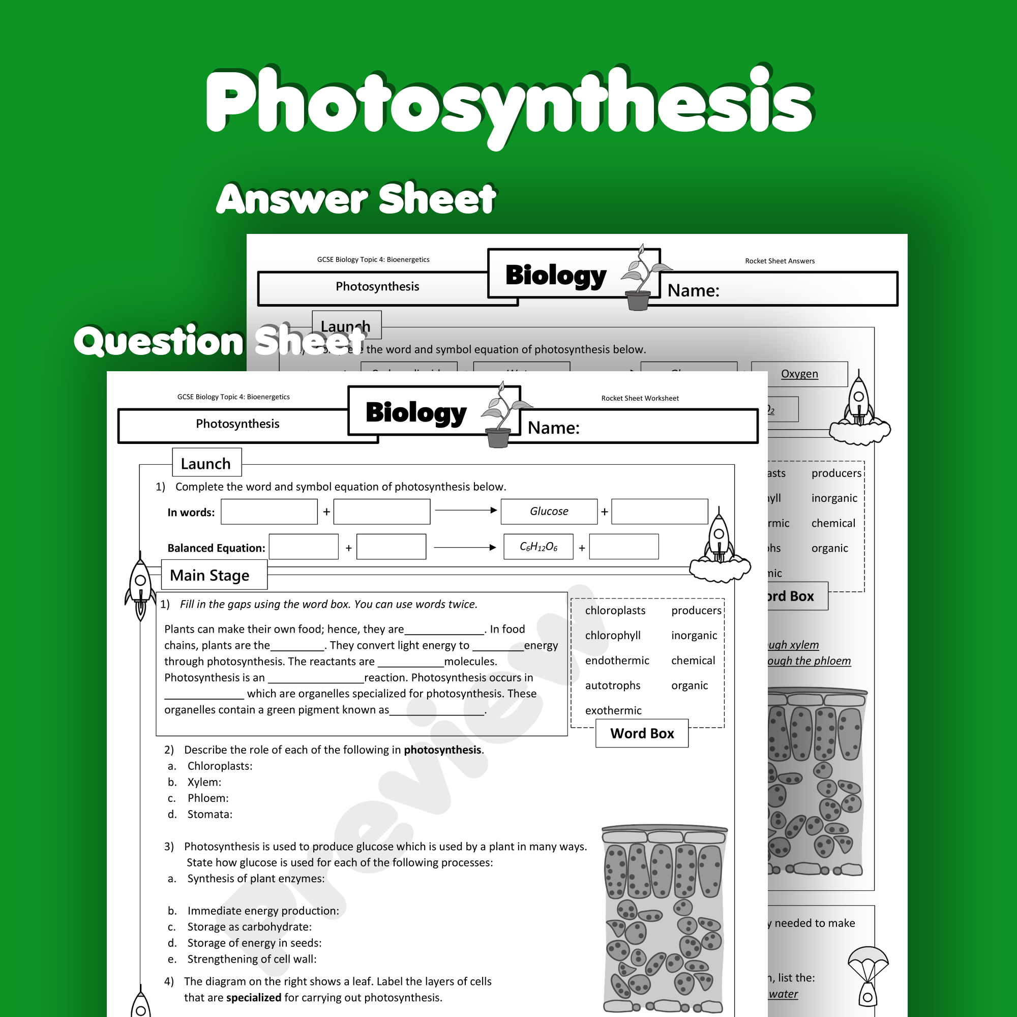 gcse photosynthesis worksheet